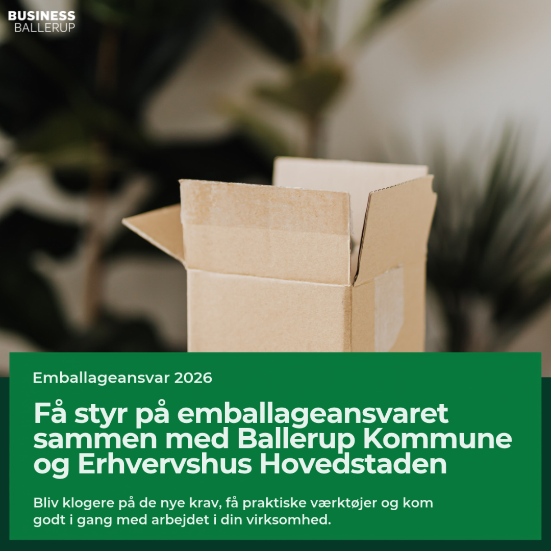 LinkedIn_Energistyrelsen_3_1.png